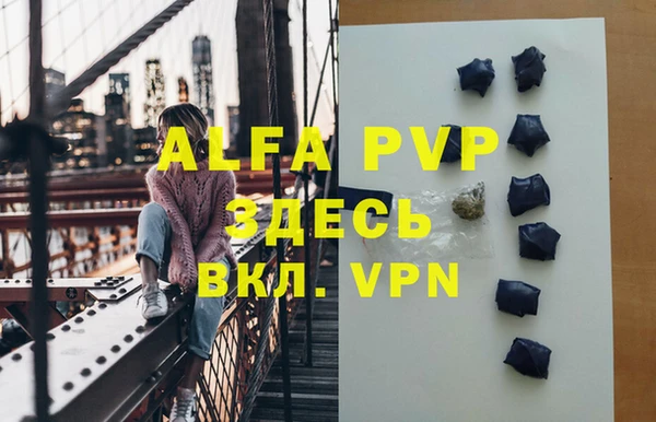 крисы Алексин
