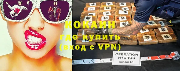 крисы Алексин